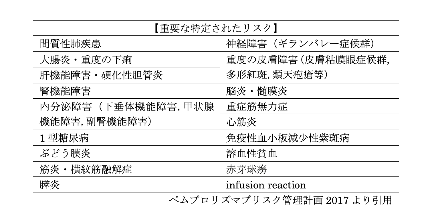 解説画像